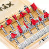 Ronix RH-5341 frezos galvučių rinkinys 12 vnt., 6 mm